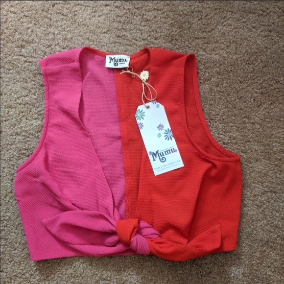 Show Me Your MuMu colorblock Holden top - Picture 5 of 7